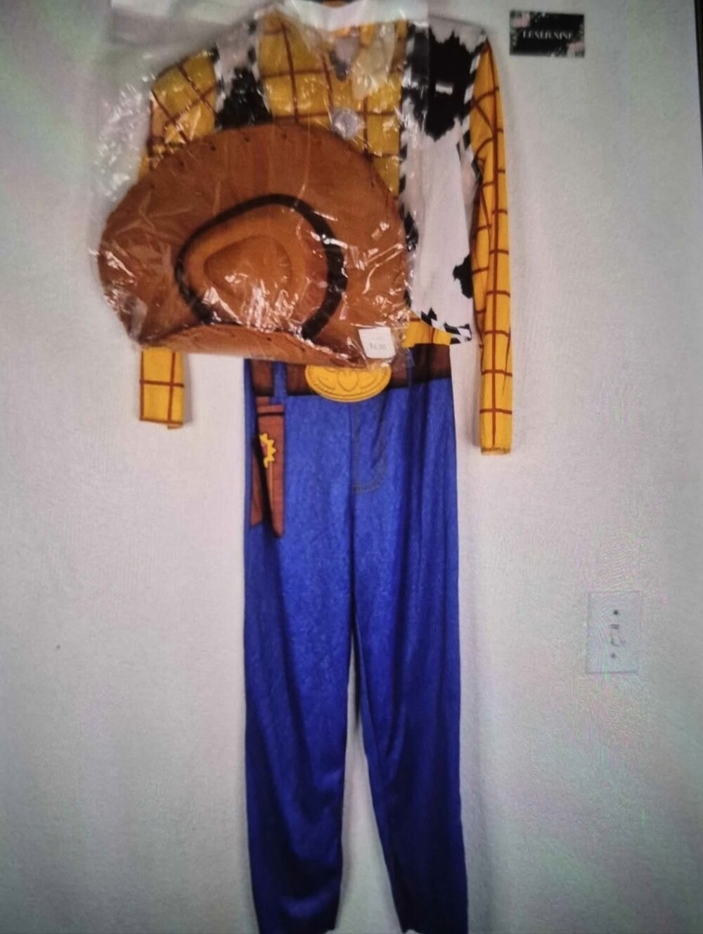 Toy Story Woody Brand NEW Halloween Costume For Sale